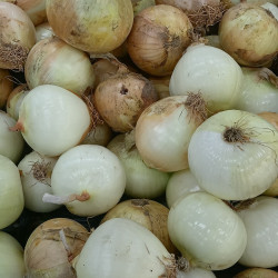 RO-004 (Yellow onion 🧅)