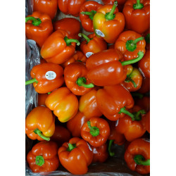 RO-005 (Bell peppers - London, UK - DSC06432)