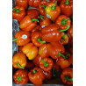 RO-005 (Bell peppers - London, UK - DSC06432)