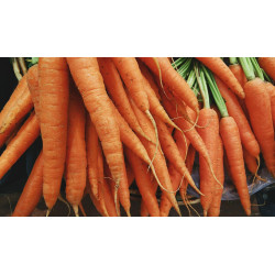 RO-006 (Organic Carrots (Unsplash))