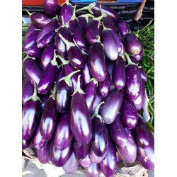 RO-008 (Purple eggplants 2017 A)