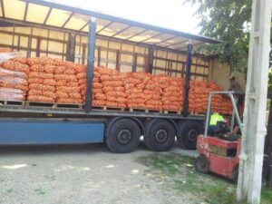 Distributie legume